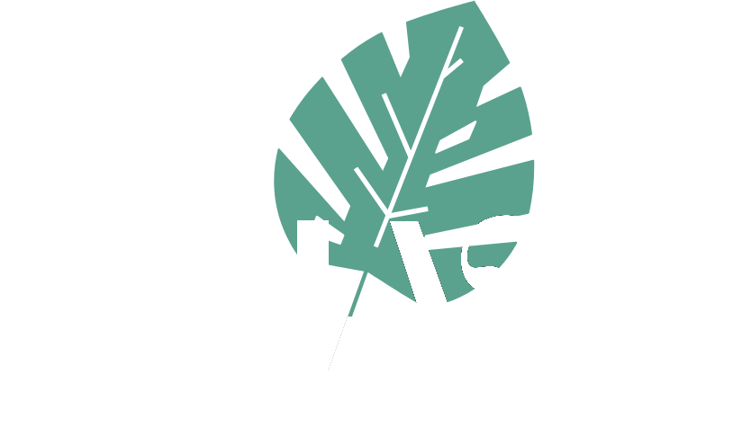 Iguazu
